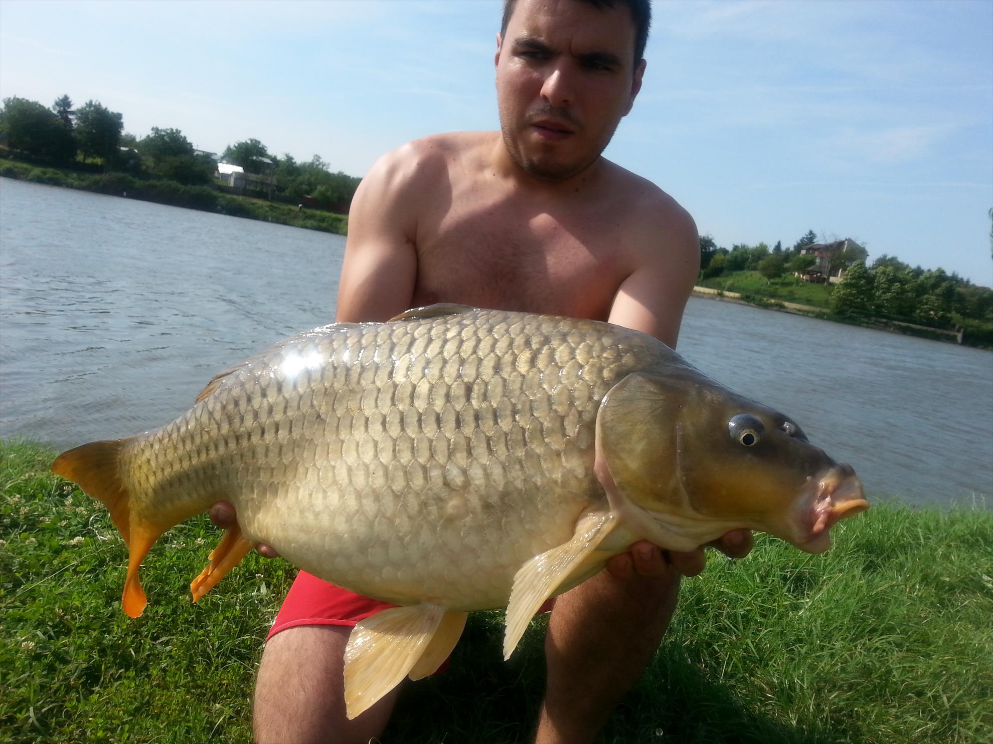 Moara Vlasiei 2 15 - 16 iulie 2014 - 20140716094255.jpg